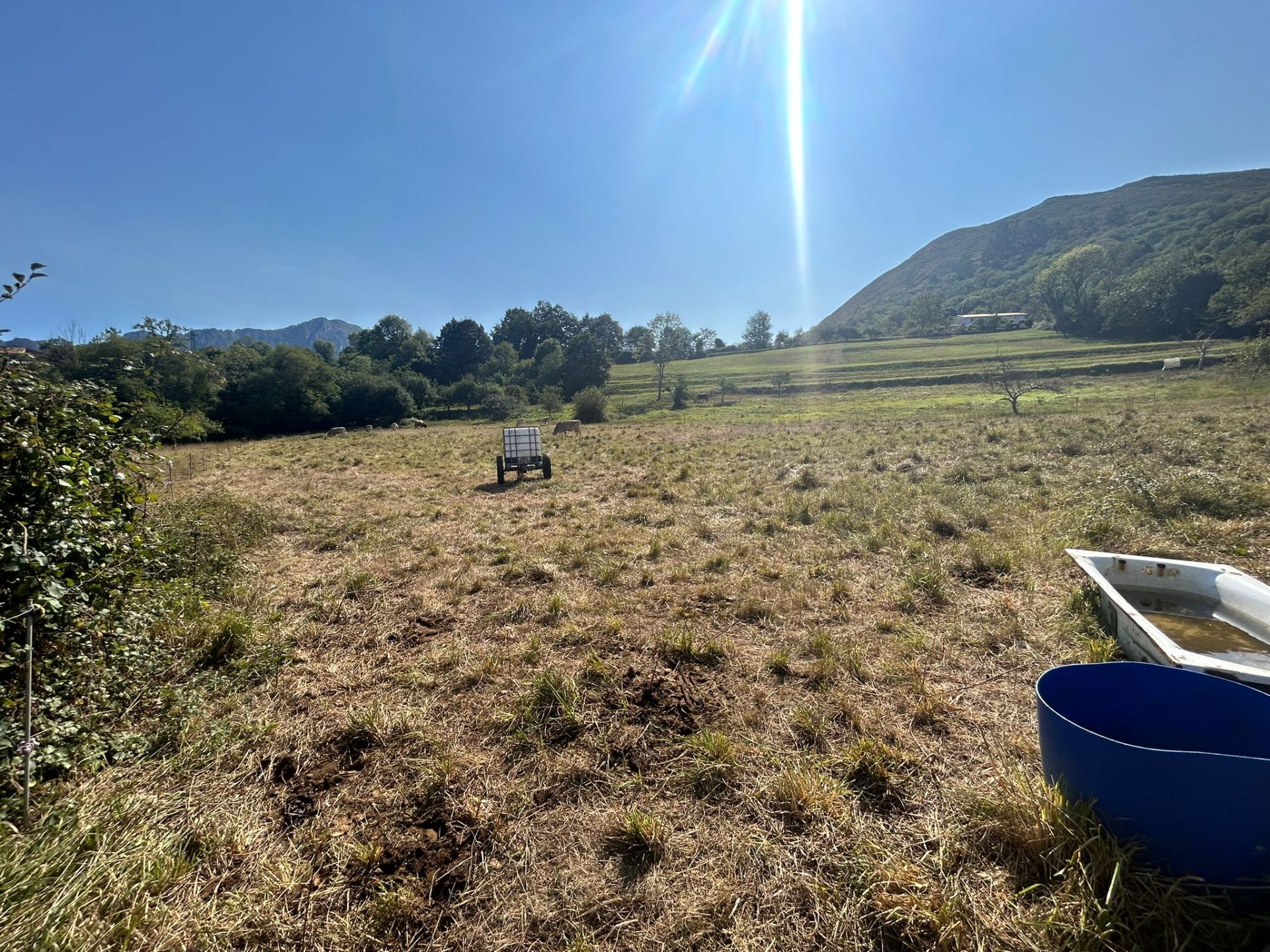 Grondstuk in Cangas de Onís, Concejo Cangas de Onís, te koop